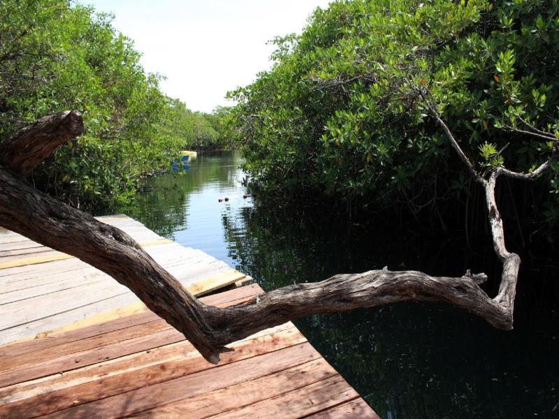 Hotel Maya Cabanas Y Cenote Tulum Exterior foto