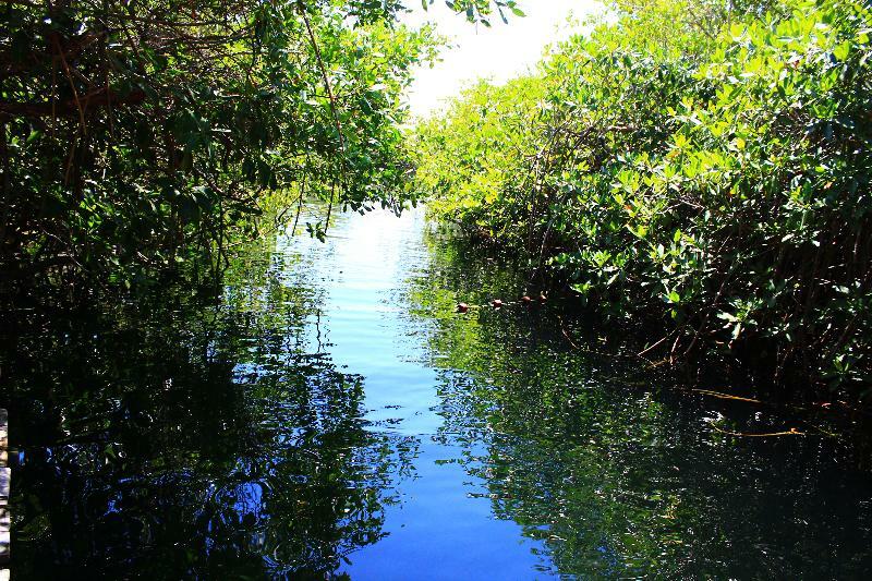 Hotel Maya Cabanas Y Cenote Tulum Exterior foto